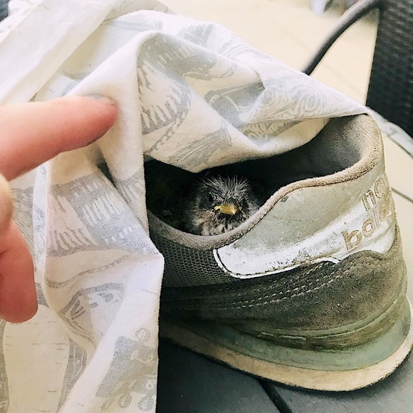 MEET YOUR POSHER - Picture 5 of 9